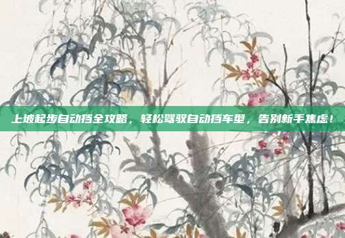 上坡起步自动挡全攻略,轻松驾驭自动挡车型,告别新手焦虑!