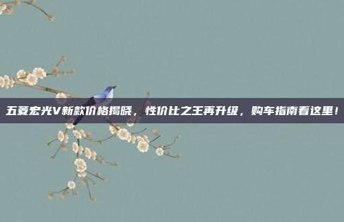 五菱宏光V新款价格揭晓，性价比之王再升级，购车指南看这里！