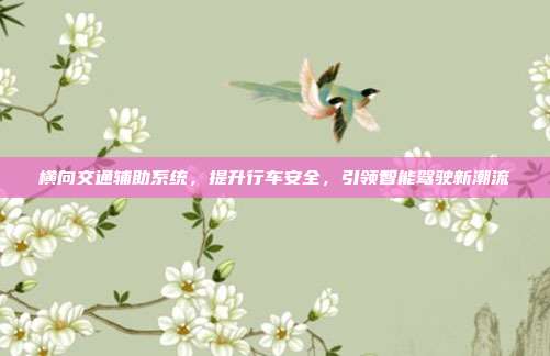 横向交通辅助系统,提升行车安全,引领智能驾驶新潮流