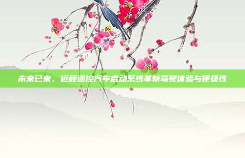 未来已来,远程遥控汽车启动系统革新驾驶体验与便捷性