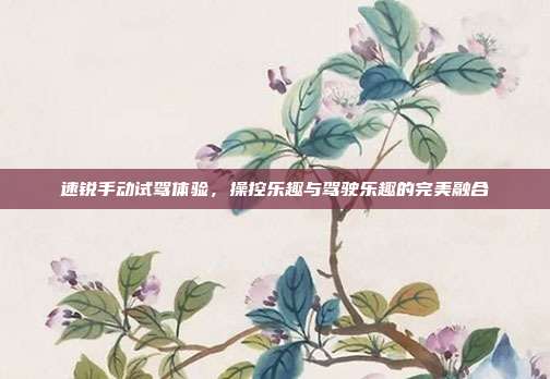 速锐手动试驾体验,操控乐趣与驾驶乐趣的完美融合