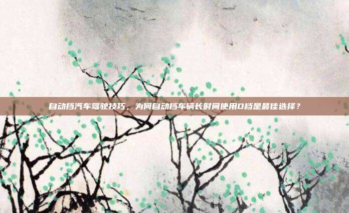 自动挡汽车驾驶技巧,为何自动挡车辆长时间使用D档是最佳选择?
