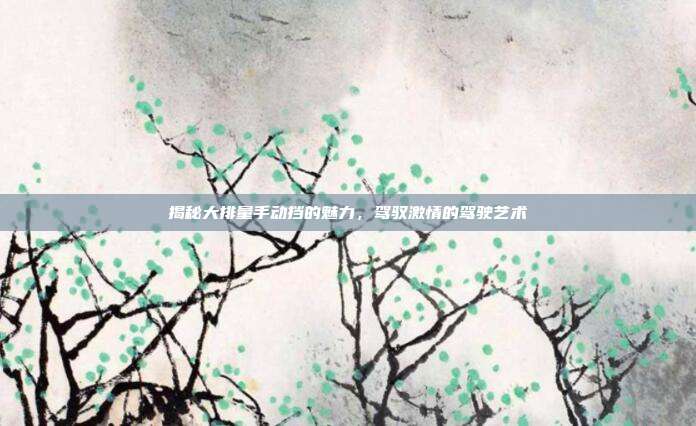 揭秘大排量手动挡的魅力,驾驭激情的驾驶艺术