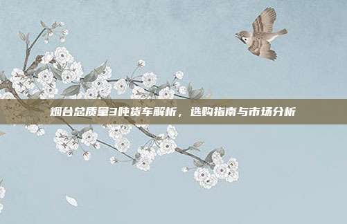 烟台总质量3吨货车解析,选购指南与市场分析