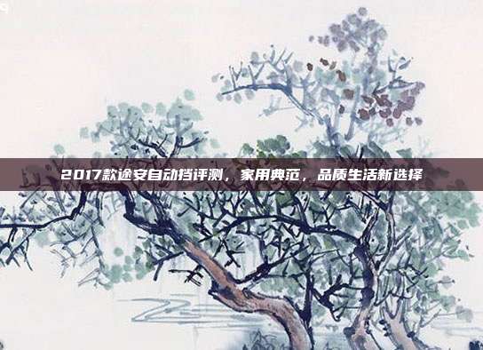 2017款途安自动挡评测,家用典范,品质生活新选择