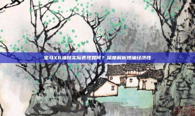 宝马X6油耗实际表现如何?深度解析燃油经济性