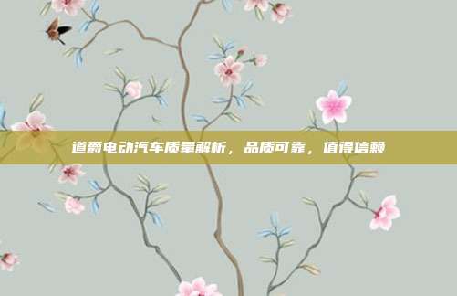 道爵电动汽车质量解析,品质可靠,值得信赖