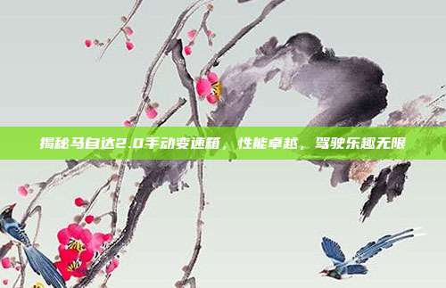 揭秘马自达2.0手动变速箱，性能卓越，驾驶乐趣无限