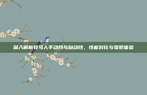 深入解析牧马人手动挡与自动挡，性能对比与驾驶体验
