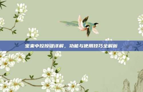宝来中控按键详解,功能与使用技巧全解析