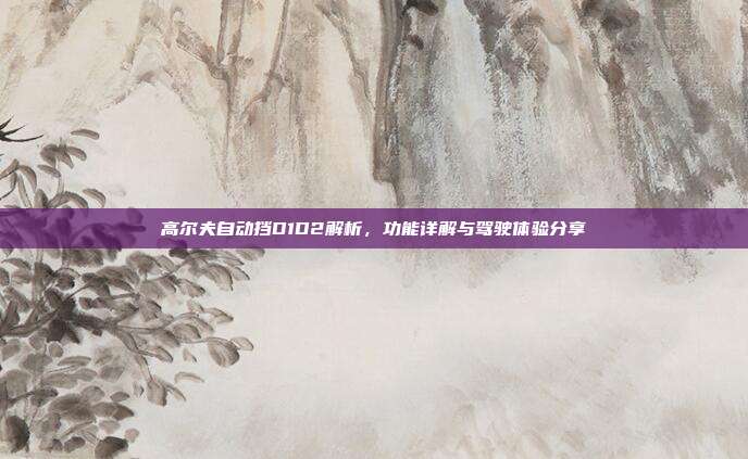 高尔夫自动挡D1D2解析,功能详解与驾驶体验分享