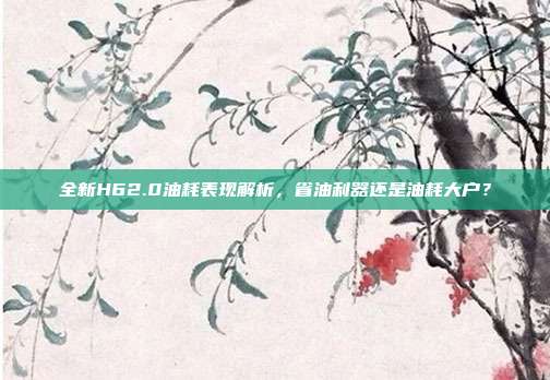 全新H62.0油耗表现解析,省油利器还是油耗大户?