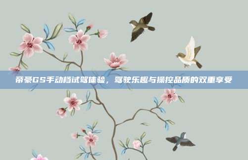 帝豪GS手动档试驾体验,驾驶乐趣与操控品质的双重享受