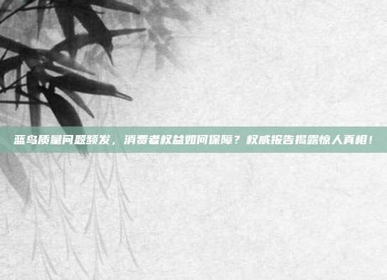 蓝鸟质量问题频发,消费者权益如何保障?权威报告揭露惊人真相!