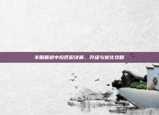 丰田霸道中控匹配详解,升级与优化攻略
