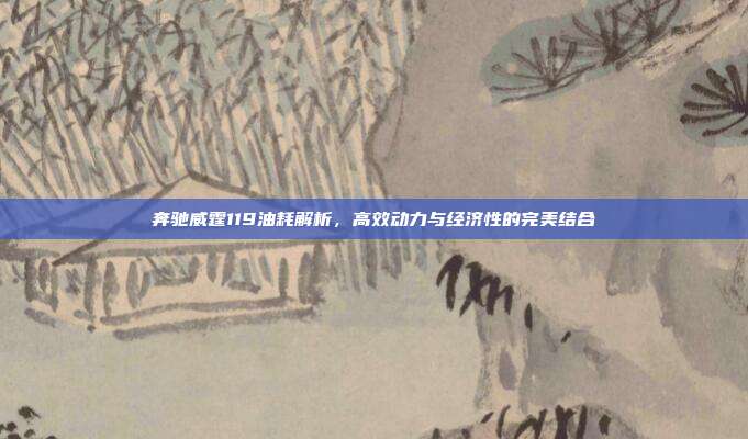 奔驰威霆119油耗解析,高效动力与经济性的完美结合