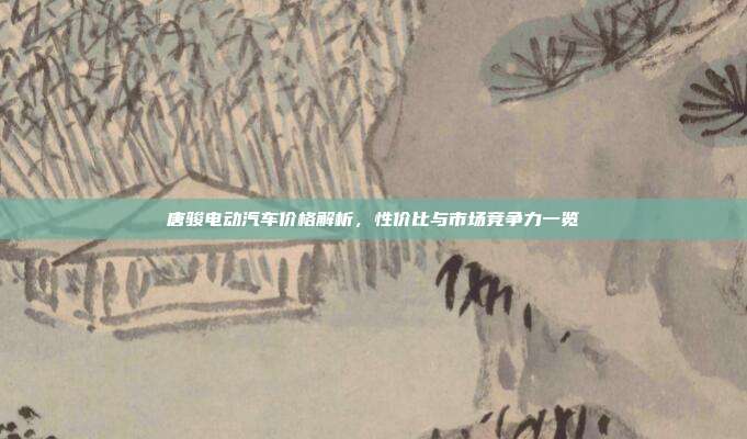 唐骏电动汽车价格解析,性价比与市场竞争力一览