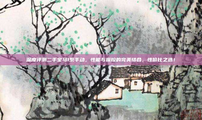 深度评测二手宝马1系手动,性能与操控的完美结合,性价比之选!