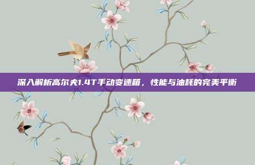 深入解析高尔夫1.4T手动变速箱,性能与油耗的完美平衡