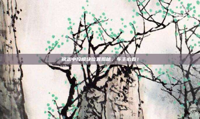 锐志中控模块位置揭秘,车主必看!