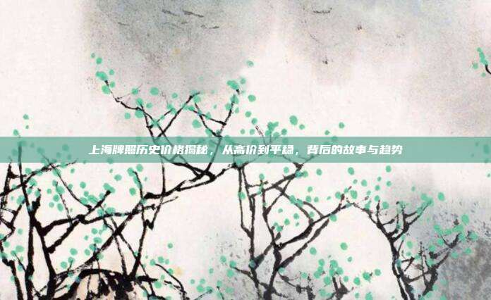 上海牌照历史价格揭秘,从高价到平稳,背后的故事与趋势