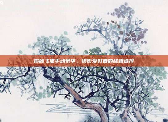 揭秘飞思手动豪华，摄影爱好者的终极选择