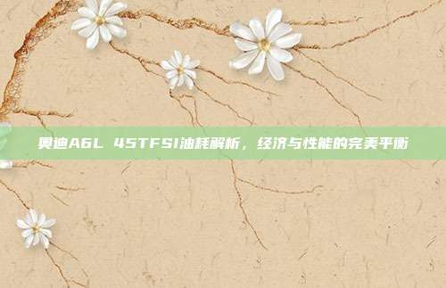 奥迪A6L 45TFSI油耗解析,经济与性能的完美平衡