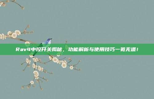 Rav4中控开关揭秘，功能解析与使用技巧一览无遗！