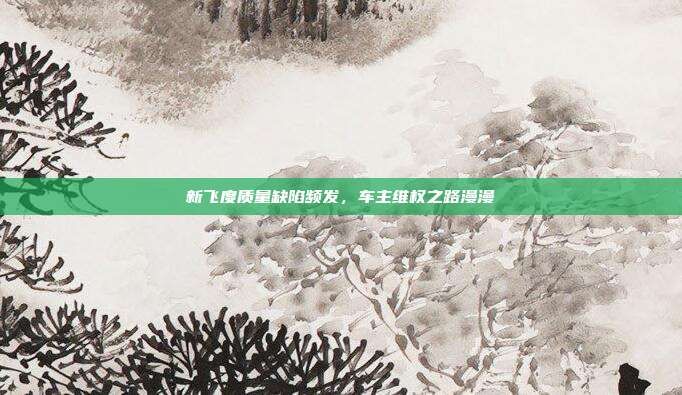 新飞度质量缺陷频发,车主维权之路漫漫