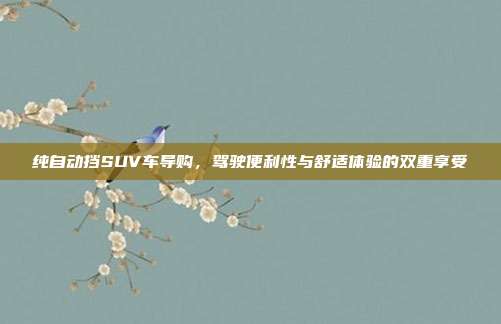 纯自动挡SUV车导购,驾驶便利性与舒适体验的双重享受