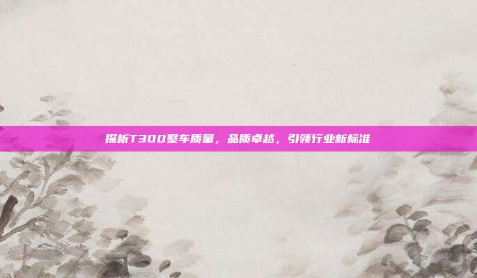探析T300整车质量,品质卓越,引领行业新标准