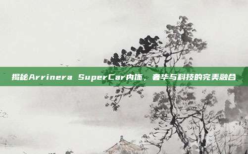 揭秘Arrinera SuperCar内饰，奢华与科技的完美融合