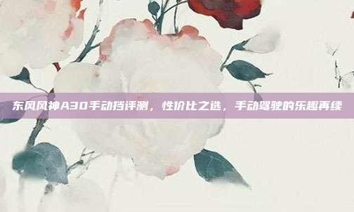 东风风神A30手动挡评测,性价比之选,手动驾驶的乐趣再续