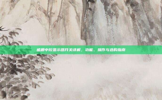 威朗中控显示器开关详解，功能、操作与选购指南