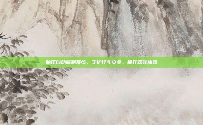 胎压自动监测系统,守护行车安全,提升驾驶体验