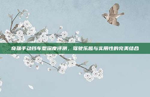 奇瑞手动挡车型深度评测,驾驶乐趣与实用性的完美结合