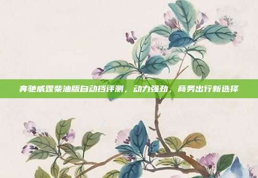 奔驰威霆柴油版自动挡评测，动力强劲，商务出行新选择