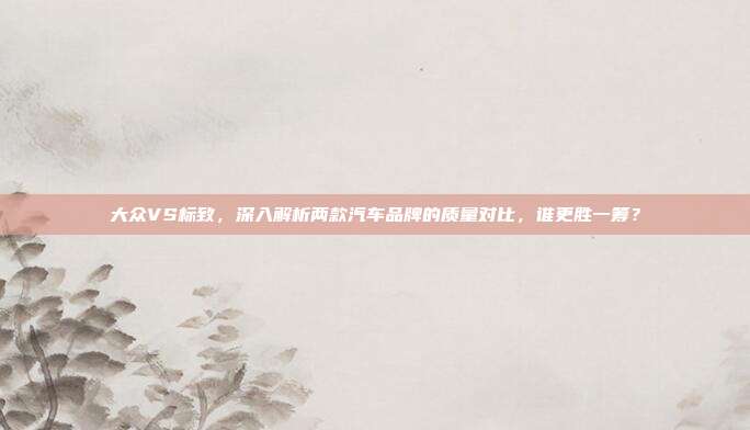 大众VS标致，深入解析两款汽车品牌的质量对比，谁更胜一筹？