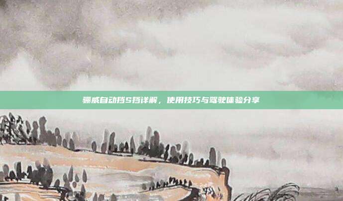 骊威自动挡S挡详解,使用技巧与驾驶体验分享
