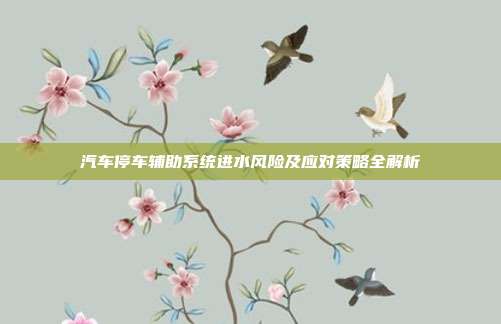 汽车停车辅助系统进水风险及应对策略全解析