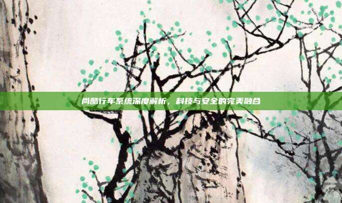 尚酷行车系统深度解析,科技与安全的完美融合