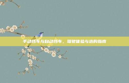 手动挡车与自动挡车,驾驶体验与选购指南