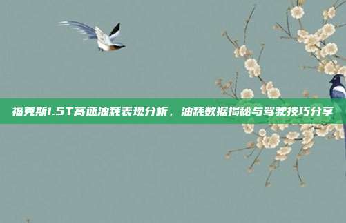 福克斯1.5T高速油耗表现分析,油耗数据揭秘与驾驶技巧分享
