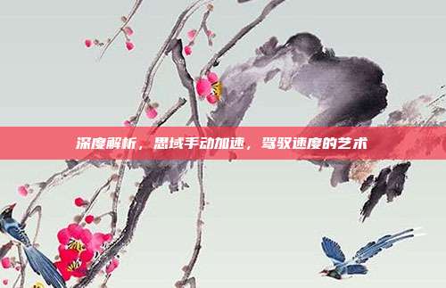 深度解析,思域手动加速,驾驭速度的艺术
