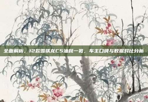 全面解析,12款雪铁龙C5油耗一览,车主口碑与数据对比分析