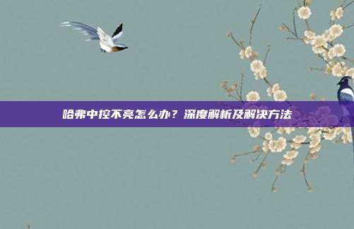 哈弗中控不亮怎么办?深度解析及解决方法