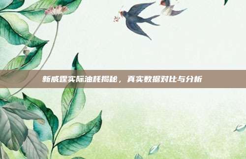 新威霆实际油耗揭秘,真实数据对比与分析