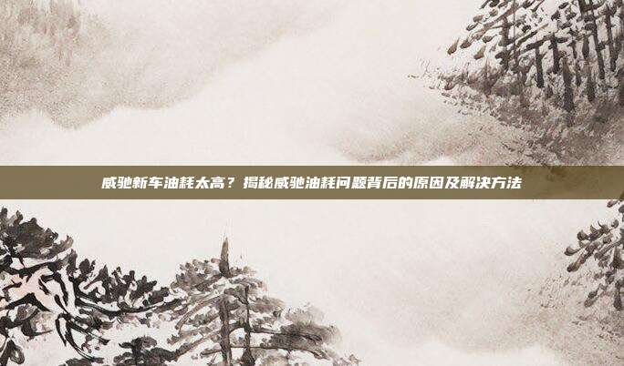 威驰新车油耗太高?揭秘威驰油耗问题背后的原因及解决方法