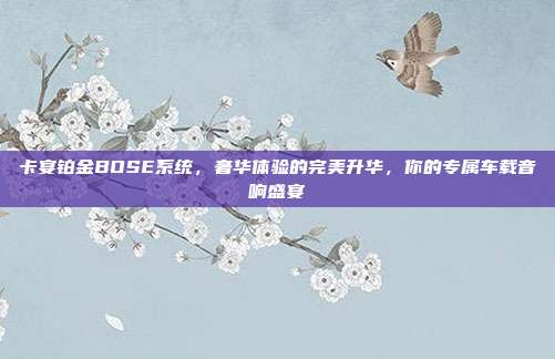 卡宴铂金BOSE系统,奢华体验的完美升华,你的专属车载音响盛宴