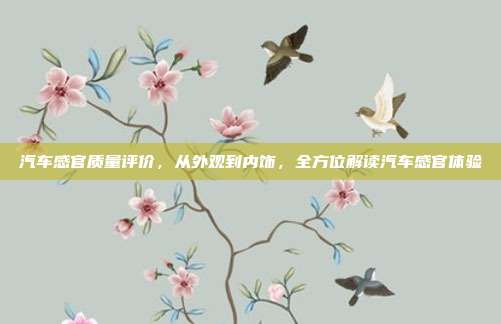汽车感官质量评价，从外观到内饰，全方位解读汽车感官体验
